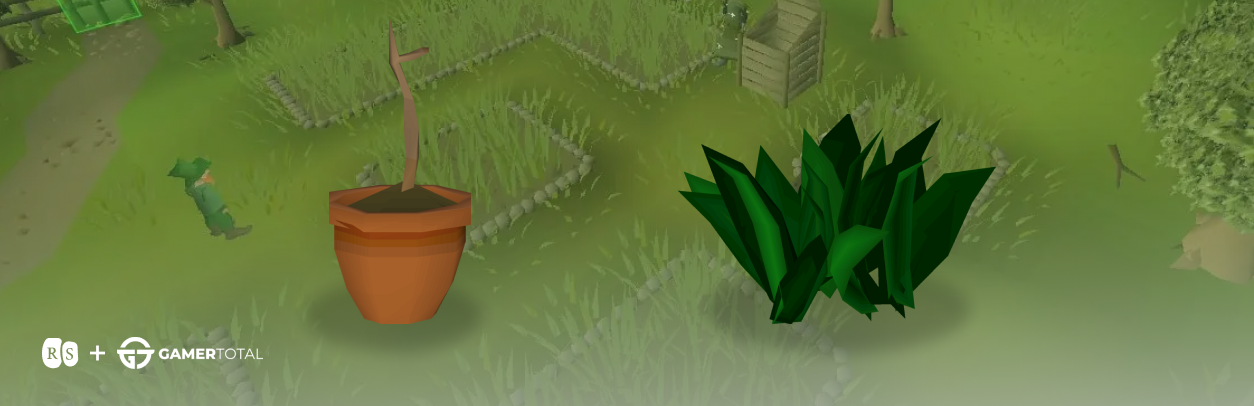 osrs farming money making