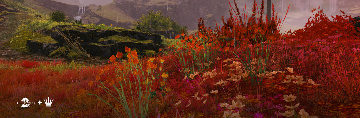 guild wars 2 janthir wilds