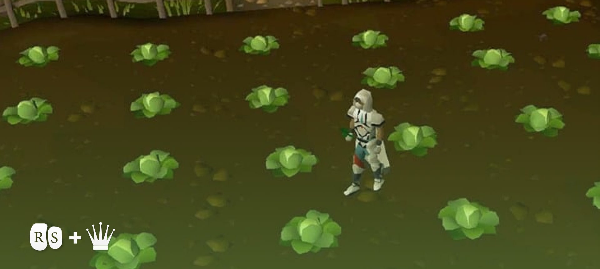 199 OSRS Farming Guide Mastering the Art of Harvesting Chicks Gold